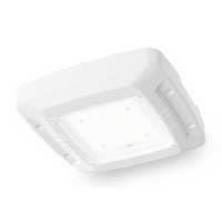 Evolt Ektor Aurox Core 120W LED Canopy Light 5000K IP65 Surface Mount