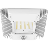Haneco Benzina G2 100/148/165/196W Canopy Lowbay