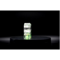 Green Donkey Small Template