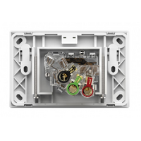 Trader Snow Leopard Power Point Switched 1G 15A 250V 