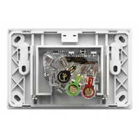 Trader Snow Leopard Power Point Switched 1G 10A 250V 