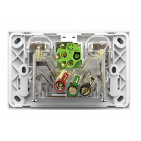Trader Snow Leopard Power Point Switched 2G 10A 250V with Extra Mech