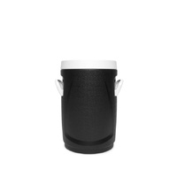 Paramount Thorzt 20L Drinks Cooler