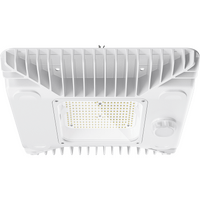 Haneco Benzina G2 100/148/165/196W Canopy Lowbay