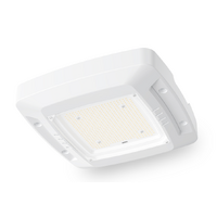 Evolt Ektor Aurox Core 120W LED Canopy Light 5000K IP65 Surface Mount