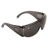 Paramount Visitors Safety Glasses Smoke lens