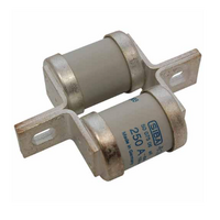 Siba 5007506 180A BS Double Body Ultra Rapid AR