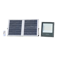 Philips SmartBright Solar 25W Floodlight