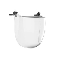 Paramount Evoguard C4-Max Industrial Visor