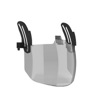 Paramount Evo Vistashield Replacement Shield Clear