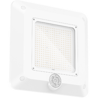Haneco BENZINA G3 150W LED Canopy Light 5000K White