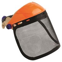 Paramount Striker BrowGuard With Visor Mesh