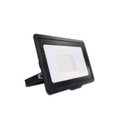 Philips 20W LED Flood Light