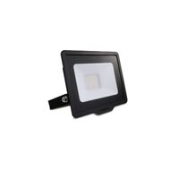 Philips 10W LED Flood Light