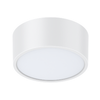Haneco Meteor 14/16W Surface Mount Led Downlight