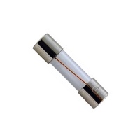 Australux M205 5x20mm Glass Fast Acting Fuse