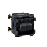 Legrand Inspyra 16A Double Pole Switch Mechanism