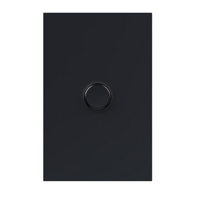 Legrand Inspyra with Netatmo 100W 1 Gang Vertical Smart Switch Matte Grey