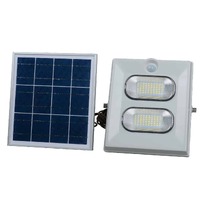 Plusrite 100W Solar Floodlight LED With Motion Sensor