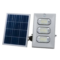 Plusrite 150W Solar Floodlight With Motion Sensor