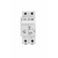 CBI QF18 Curve 2 Double Pole Breakers