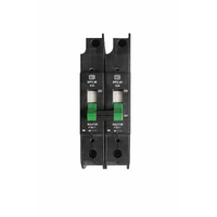 CBI SFM-2 Double Pole 63A Isolator