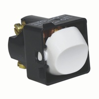 Trader Thriftee Double Pole Mechanism Switch 20A