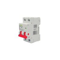 Trader Wolverine Main Switch 2Pole 100A